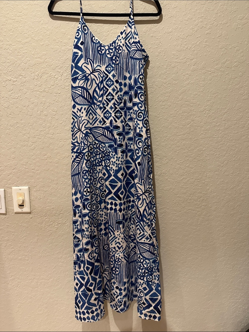 Rachel Zoe Blue and White Printed Maxi Dress